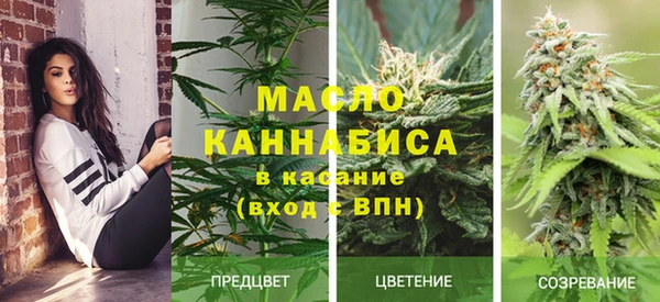 спиды Абаза