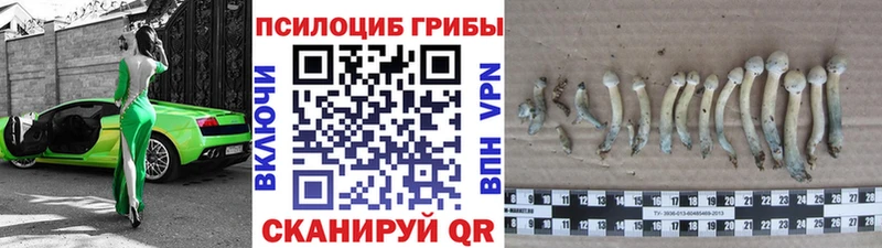 Псилоцибиновые грибы MAGIC MUSHROOMS  где продают   hydra tor  Емва 