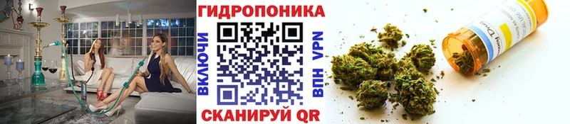 Шишки марихуана сатива  ОМГ ОМГ зеркало  Емва 